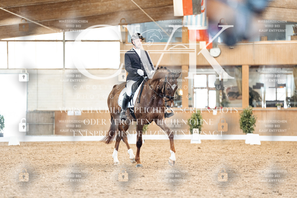 CK909359 | Turnierfotografie Pferdefotografie Trier Rheinland-Pfalz Pferdesport Reitsport Tierfotografie Sportfotografie Pferdevideo Pferdevideografie Equestrianvideography equestrianphotography  - Realisiert mit Pictrs.com