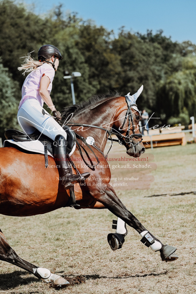 DSC_9742 | Pferde- und Turnierfotografie in Westsachsen. Pferdeportraits, Auftragszeichnungen und intuitive Kunst.