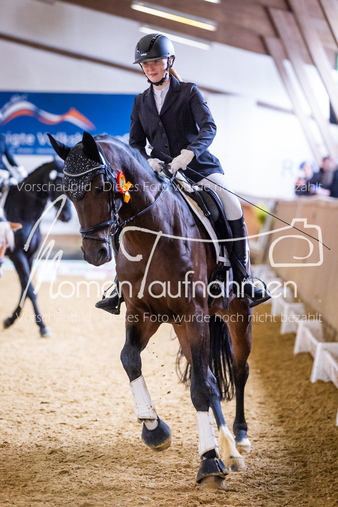 Sth-A-Dre-2St-242 | MomenTaufnahmen Pferdesportfotos