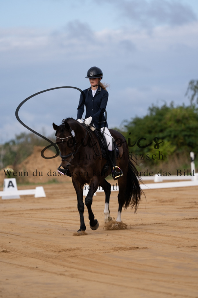 A7V05077 | Pferdefotograf