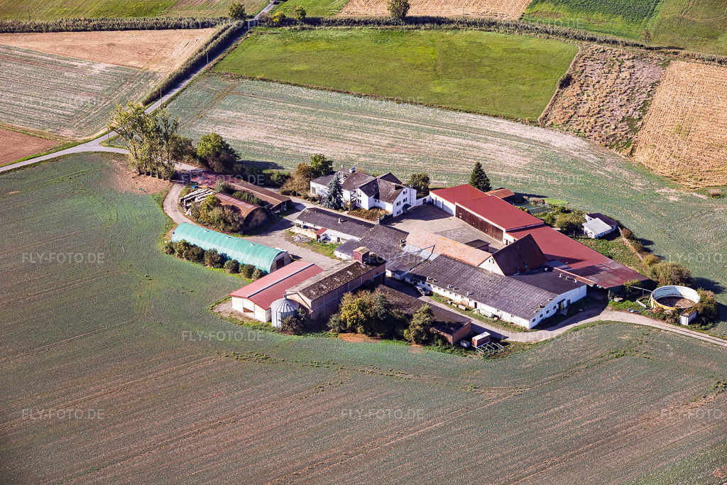 Luftbild: Lützelforstmühle im Ortsteil Richen in Groß-Umstadt im Bundesland Hessen in Deutschland. – Foto: IMG_159113.jpg vom 22.09.2026 durch Werner Riehm/FLY-FOTO.de – Auflösung des Originals: 5754 x 3836 px – Hofladen der Lützelforstmühle in Richen