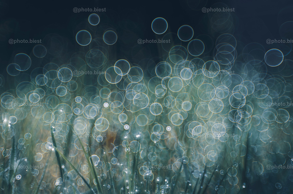 IMGC1407 | photobiest - Realisiert mit Pictrs.com