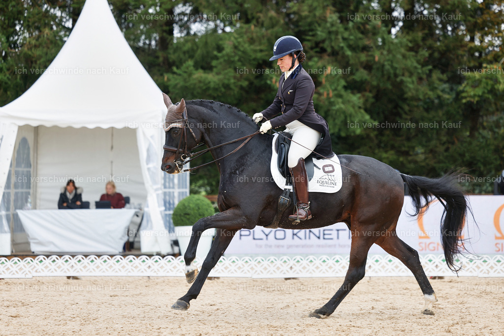 07-191-DRESSUR  S___  -StoibPH-4995 | working equitationturnier fotograf videograf stoibphotography marixx film working equitation deutschland reitsport turnierfotografie eventfotografie equestrian events