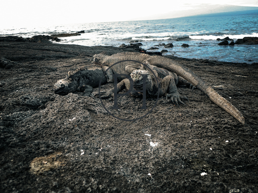 Sommer2024-067 | Philipp-Heist - Realisiert mit Pictrs.com