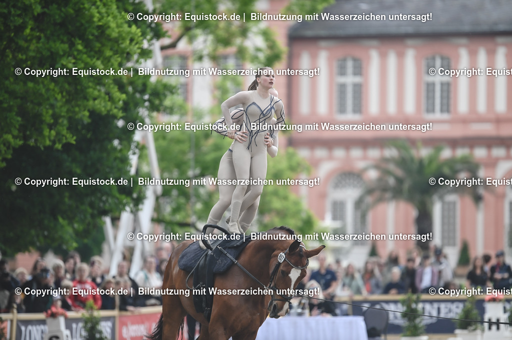 20240519_Voltige_0625 | Foto: Thomas Hartig