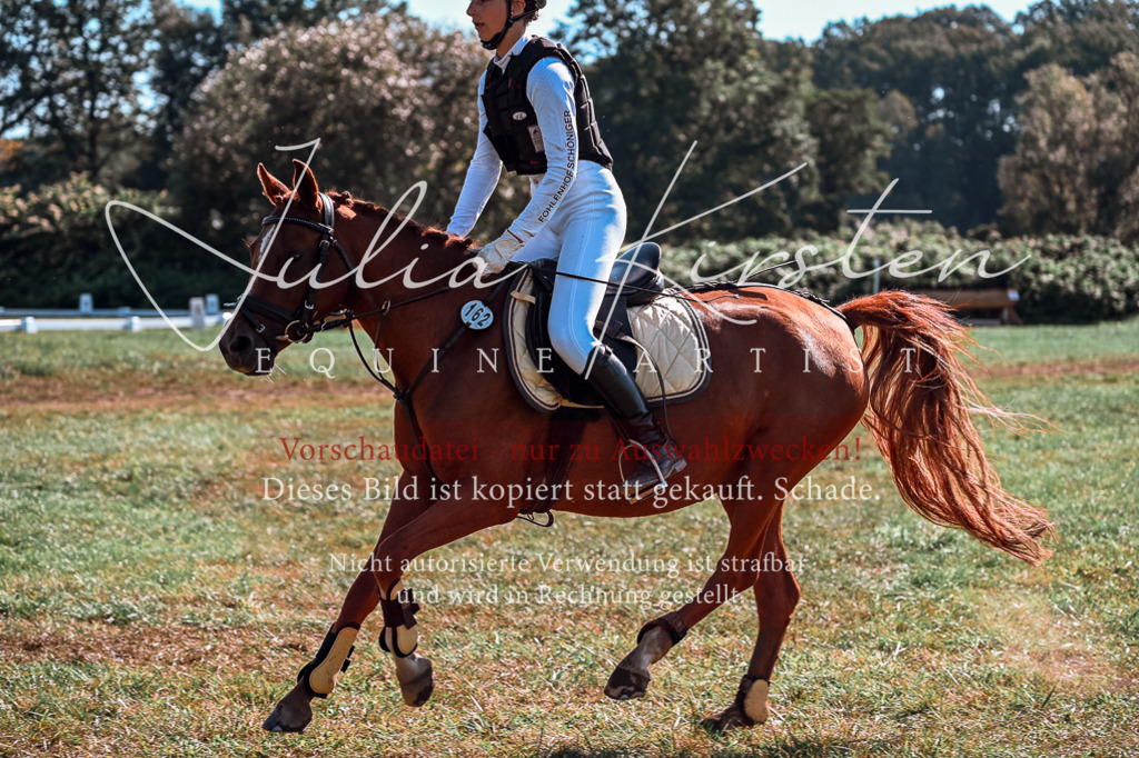 DSC_0872 | Pferde- und Turnierfotografie in Westsachsen. Pferdeportraits, Auftragszeichnungen und intuitive Kunst.