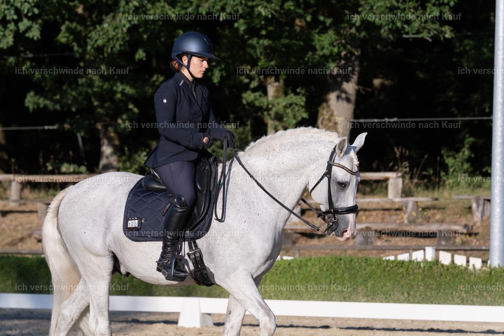 WM_DR_133_sinafilmart_IN04921 | working equitationturnier fotograf videograf stoibphotography marixx film working equitation deutschland reitsport turnierfotografie eventfotografie equestrian events