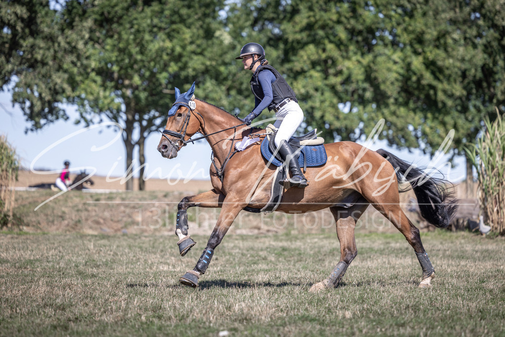20260906-_3LI4599 | Tierfotografie Pferde, Hunde, Katzen, Haustiere.
Turnierfotografie Reitturniere, Reiten, Springreiten, Dressur in Hanau, dem Main-Kinzig-Kreis und dem Rhein-Main- Gebiet um Frankfurt