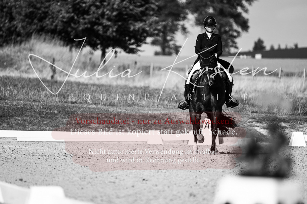 DSC_3366 | Pferde- und Turnierfotografie in Westsachsen. Pferdeportraits, Auftragszeichnungen und intuitive Kunst.