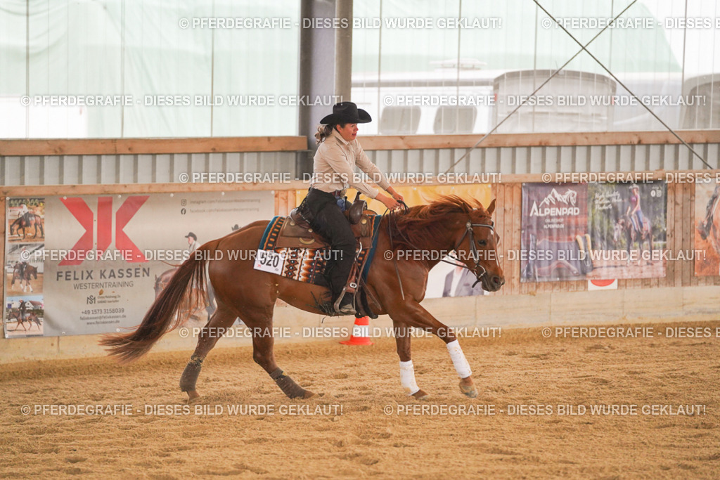 DSC00115 | Pferdegrafie