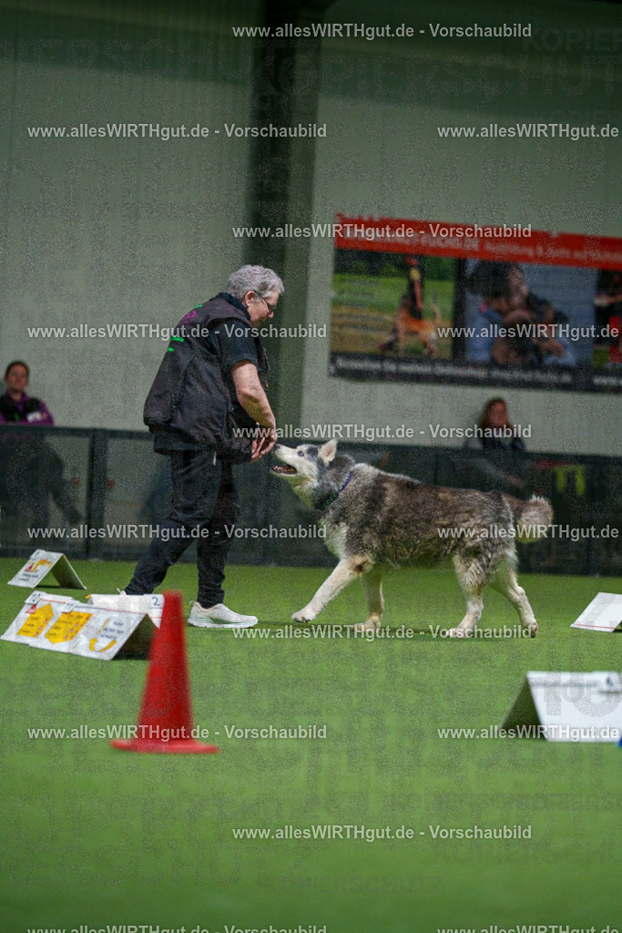 7R504422 | Professionelle Tierfotografie in Mönchengladbach von Daniel Wirth (allesWIRTHgut). Liebevolle & natürliche Bilder von Hunden & Katzen für unvergessliche Erinnerungen.