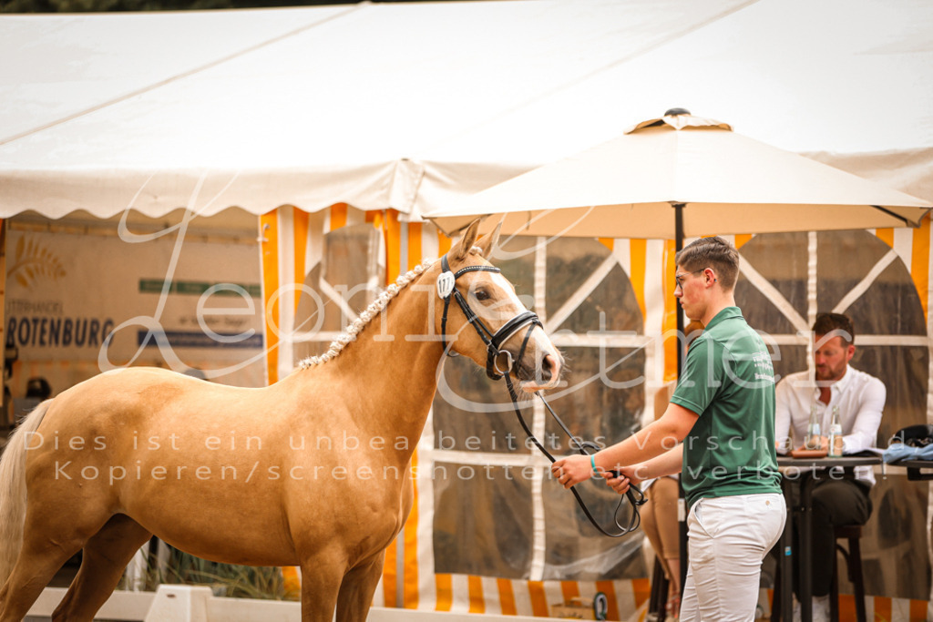 08.So00008 | Leoni Ertmer Photography - Realisiert mit Pictrs.com