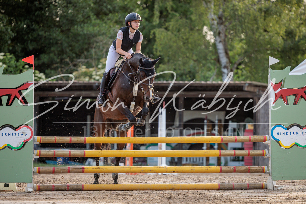 20260529-_3LI1698 | Tierfotografie Pferde, Hunde, Katzen, Haustiere.
Turnierfotografie Reitturniere, Reiten, Springreiten, Dressur in Hanau, dem Main-Kinzig-Kreis und dem Rhein-Main- Gebiet um Frankfurt