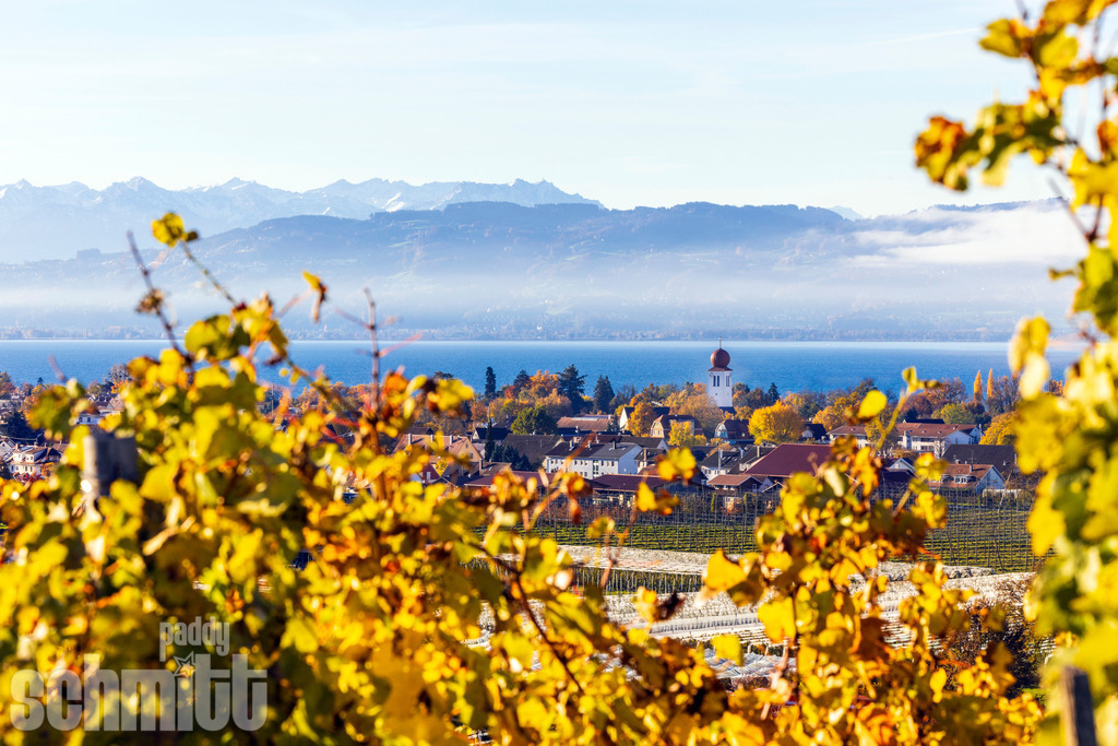PS-Kressbronn-2026-13 | Entdecke die größte Bildgalerie der Region mit Fotografien aus dem Allgäu, der Bodenseeregion, Oberschwaben, dem Donautal und der Schwäbischen Alb. Landschaften, Luftaufnahmen und Reisefotografie als Wandbild und Fotokunst. - Realisiert mit Pictrs.com