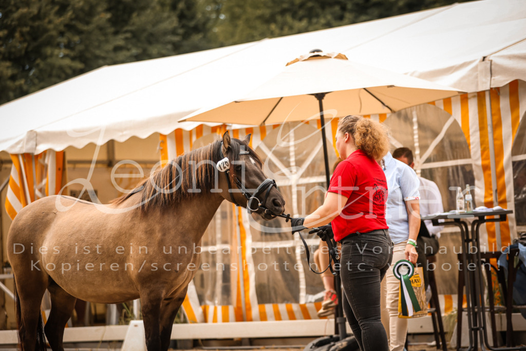 03.So00125 | Leoni Ertmer Photography - Realisiert mit Pictrs.com