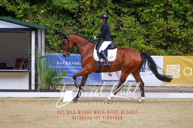 DKP40751 | Turniersportfotografie; Pferdefotografie; Dressurfotografie