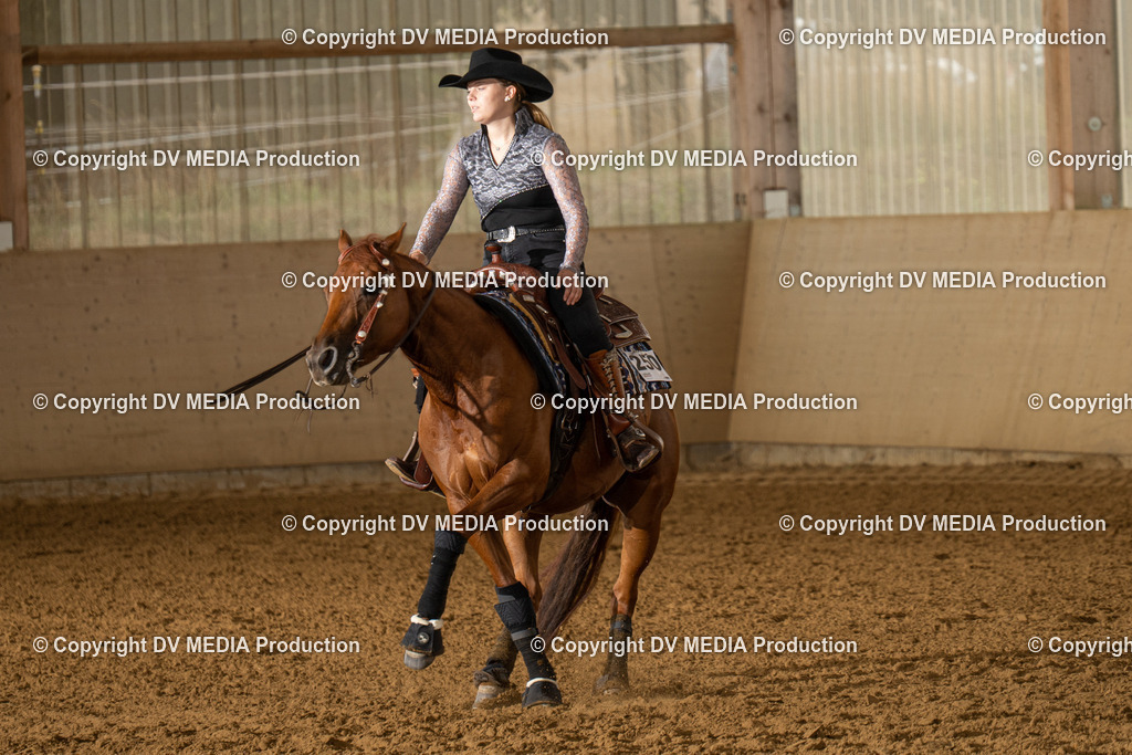 LAU00918 | dv-media-shop - Realisiert mit Pictrs.com