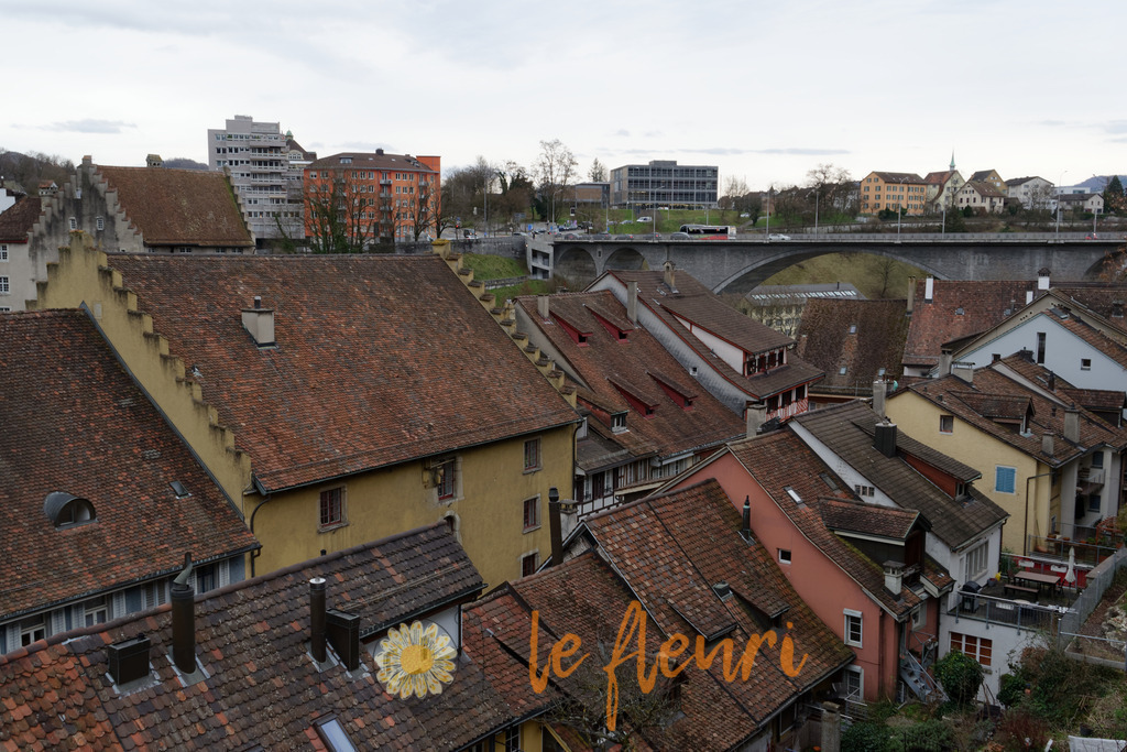 DSC_0112-NEF_DxO_PRIME | Dies ist der Shop von Florian Blum - le fleuri. Langenthal, Bern, Schweiz. Sie können hier meine oder ihre eigenen Fotos als Fotoprodukte kaufen. Tassen, Schlüsselanhänger, Taschen etc. können Sie hier gestalten.  - Realisiert mit Pictrs.com