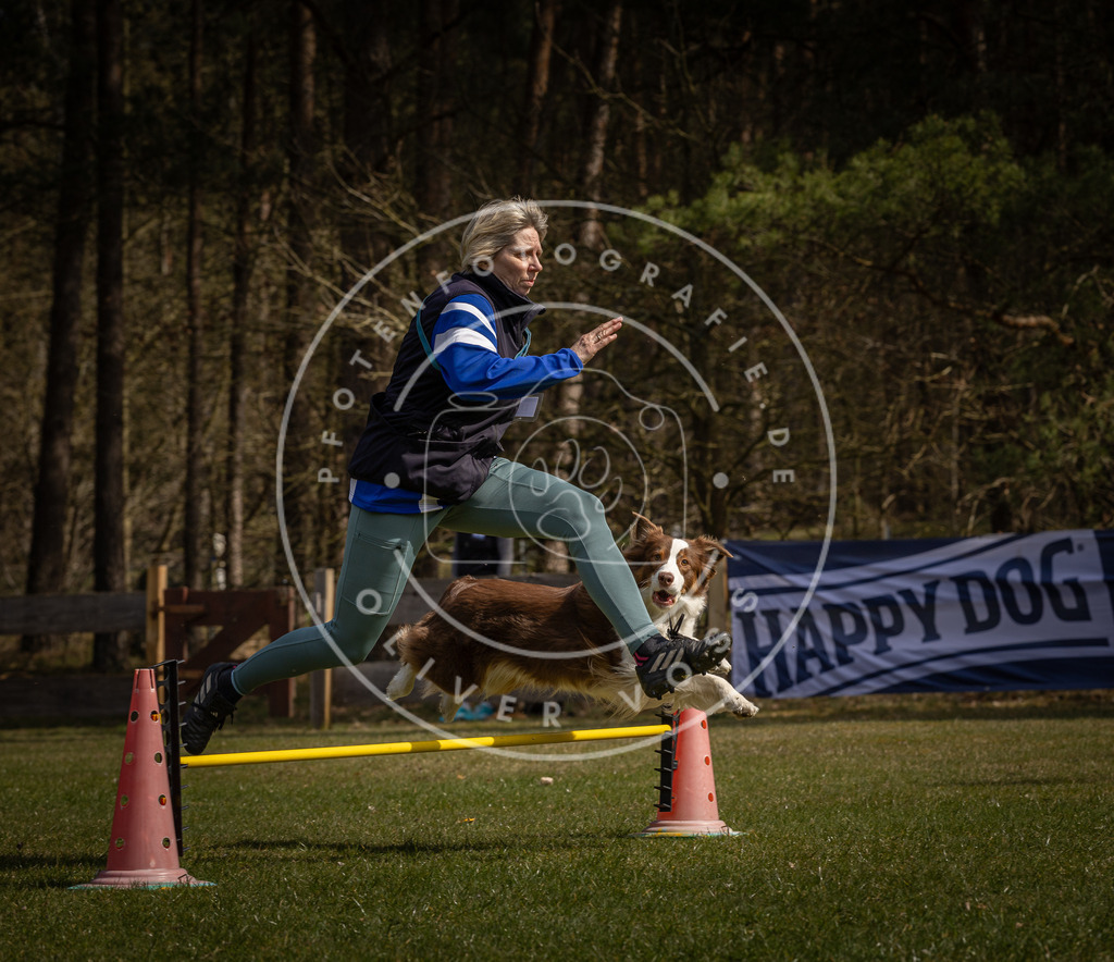 Pfotenfotografie_DV3A3246 | Hundefotografie, Tierfotograf, Pfotenfotografie, Fotoshooting Hund, Hunde Portrait, Hundesport, Hundeportraits, Heideshooting, Hunde, Sportfotograf, Hundefotograf, Turnierhundsport, THS,  - Realisiert mit Pictrs.com