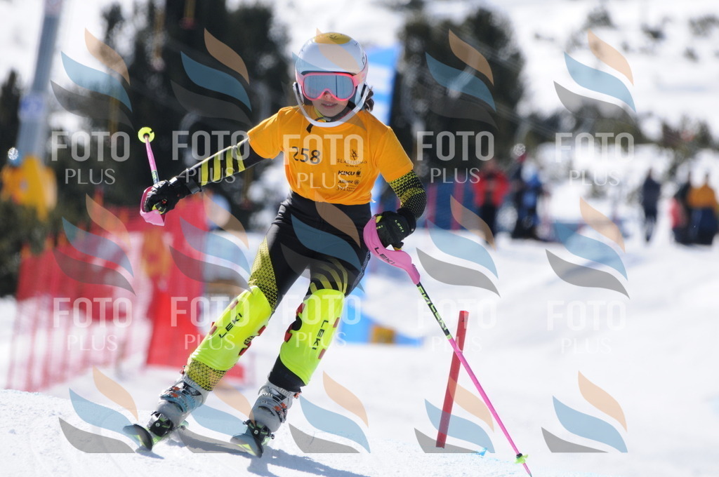 C8894 | holidayphoto