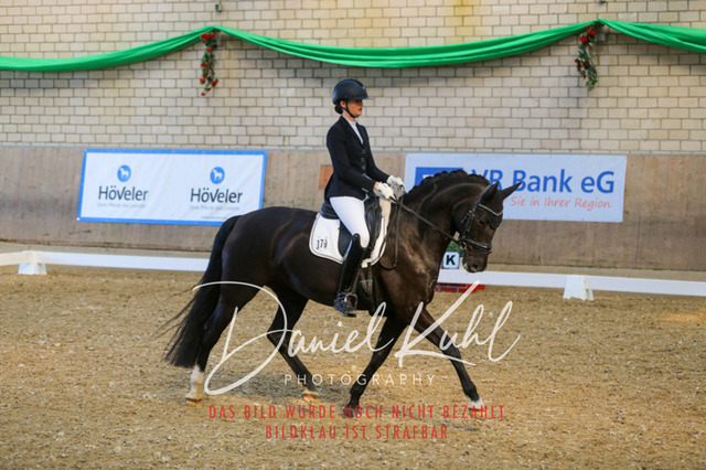 IMG_2557 | Turnierfotos kaufen im Webshop von Daniel Kuhl Photography – entdecke professionelle Reitsportfotos aus Turnieren & Events. Hochwertige Turnierbilder online bestellen & sichern. Jetzt Fotos von Reitsportturnieren kaufen!