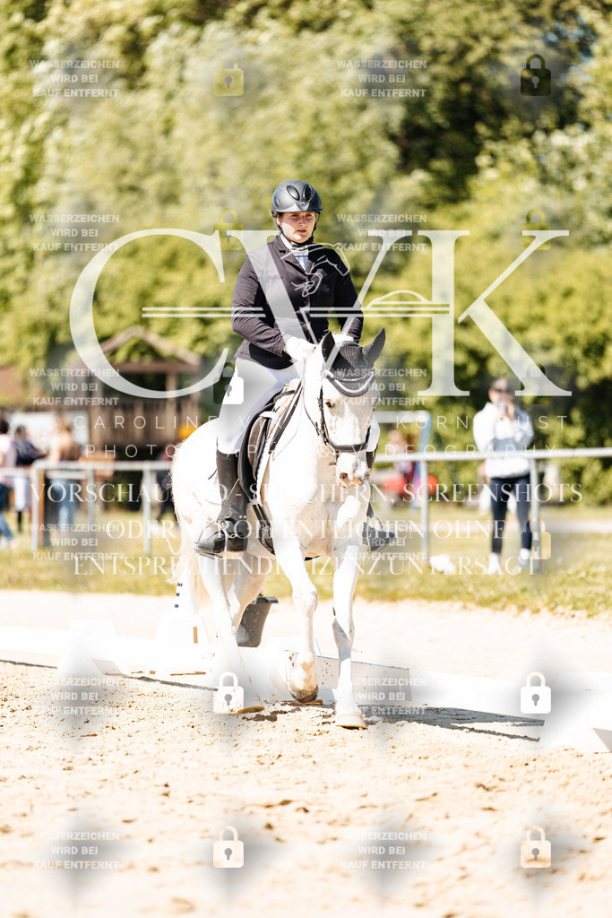 CK905561 | Turnierfotografie Pferdefotografie Trier Rheinland-Pfalz Pferdesport Reitsport Tierfotografie Sportfotografie Pferdevideo Pferdevideografie Equestrianvideography equestrianphotography  - Realisiert mit Pictrs.com