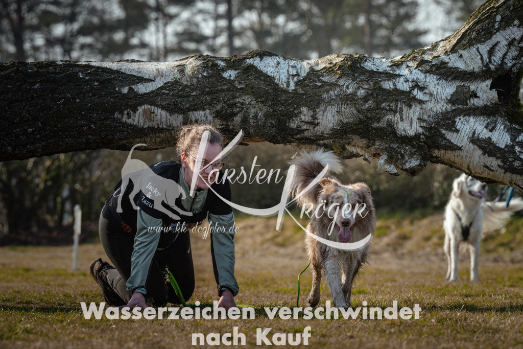 0948_ZZ90074 | kk-dogfotos