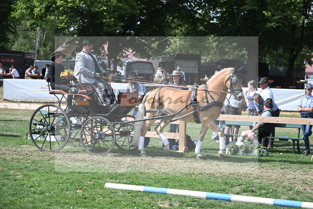 DSP Praemie Rosella_Singer_20231362 | hf-fotografie - Realisiert mit Pictrs.com