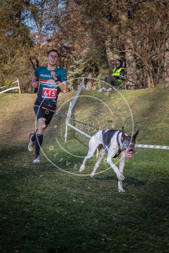CaniXpix_0L8A8739 | Hundefotografie, Tierfotograf, Pfotenfotografie, Fotoshooting Hund, Hunde Portrait, Hundesport, Hundeportraits, Heideshooting, Hunde, Sportfotograf, Hundefotograf, Turnierhundsport, THS,  - Realisiert mit Pictrs.com