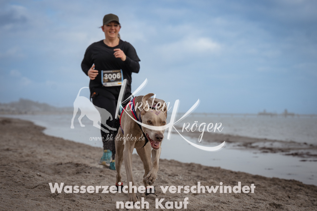 1215_ZZ95877 | kk-dogfotos