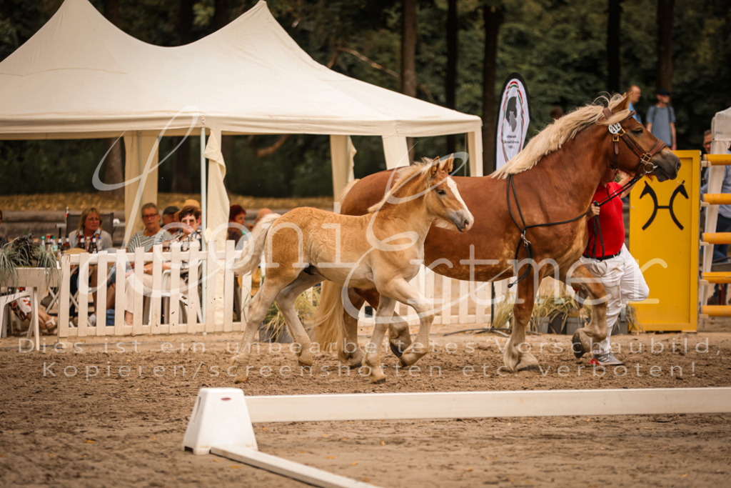 SaHF00031 | Leoni Ertmer Photography - Realisiert mit Pictrs.com