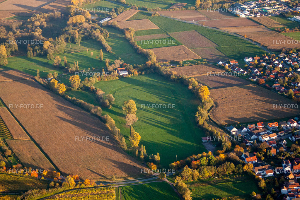 Rennbahn | Luftbild: Rennbahn im Ortsteil Billigheim in Billigheim-Ingenheim im Bundesland Rheinland-Pfalz in Deutschland. Foto: IMG_60669.jpg vom 24.10.2013 durch Werner Riehm/FLY-FOTO.de - Realisiert mit Pictrs.com