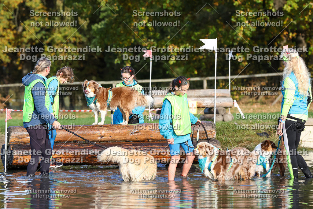 Dog Paparazzi - Strongdog 10-25-8474 | Dog Paparazzi Jeanette Grottendiek Fotografie & Videografie - Realisiert mit Pictrs.com