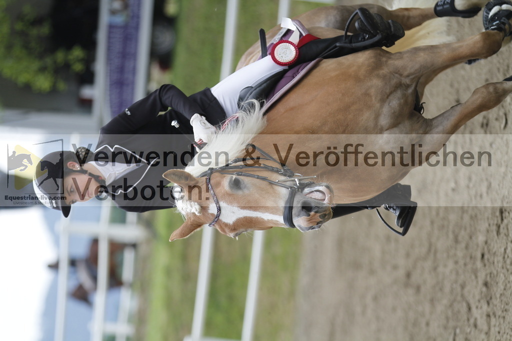 _MG_1256 | equestrian-live-com