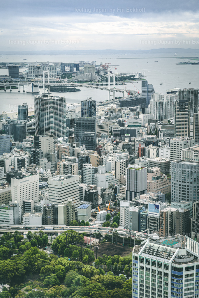 02 - Tokio - City Skyline-3 | FI-LO Bildershop – Entdecken Sie beeindruckende Fotografie und inspirierende Videoproduktionen. Tauchen Sie ein in faszinierende Welten und lassen Sie sich von meinen einzigartigen Werken auf eine emotionale Reise mitnehmen. Perfekt für Kunstliebhaber und - Realisiert mit Pictrs.com