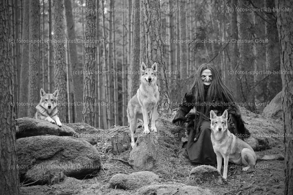 2X5A3527 | fotos-sportlich-belichtet - Realisiert mit Pictrs.com