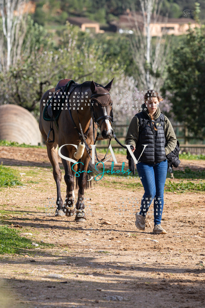 IMG_5690 | s-jay-photography - Realisiert mit Pictrs.com