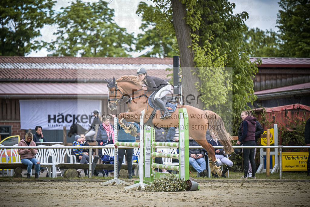 DOS_6269 | Entdecke hochwertige Reitturnierfotos von Foto Oger. Professionell, emotional und authentisch – jetzt Lieblingsmomente im Shop bestellen.Deutschlandweite Turnierfotografie. - Realisiert mit Pictrs.com
