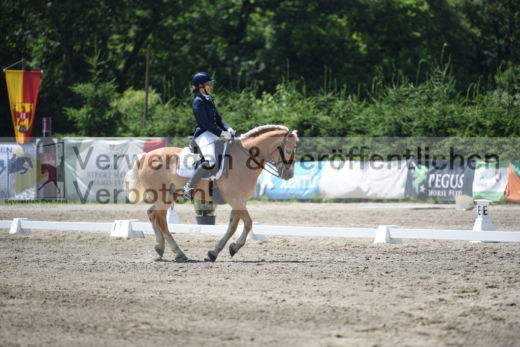 DSC_1039 | equestrian-live-com