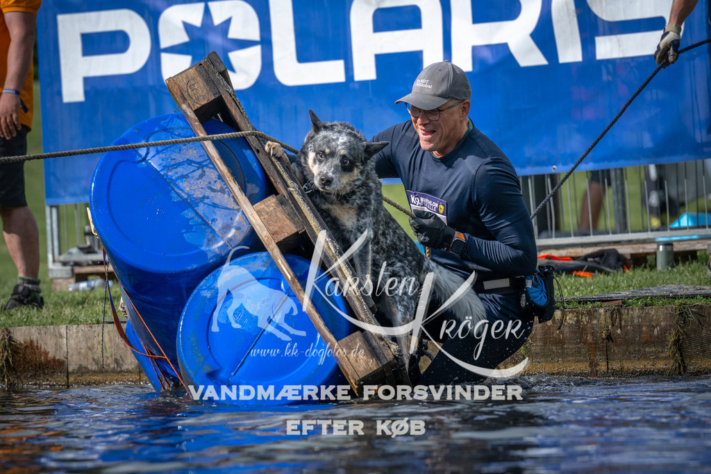 0839_ZZ99999 | kk-dogfotos