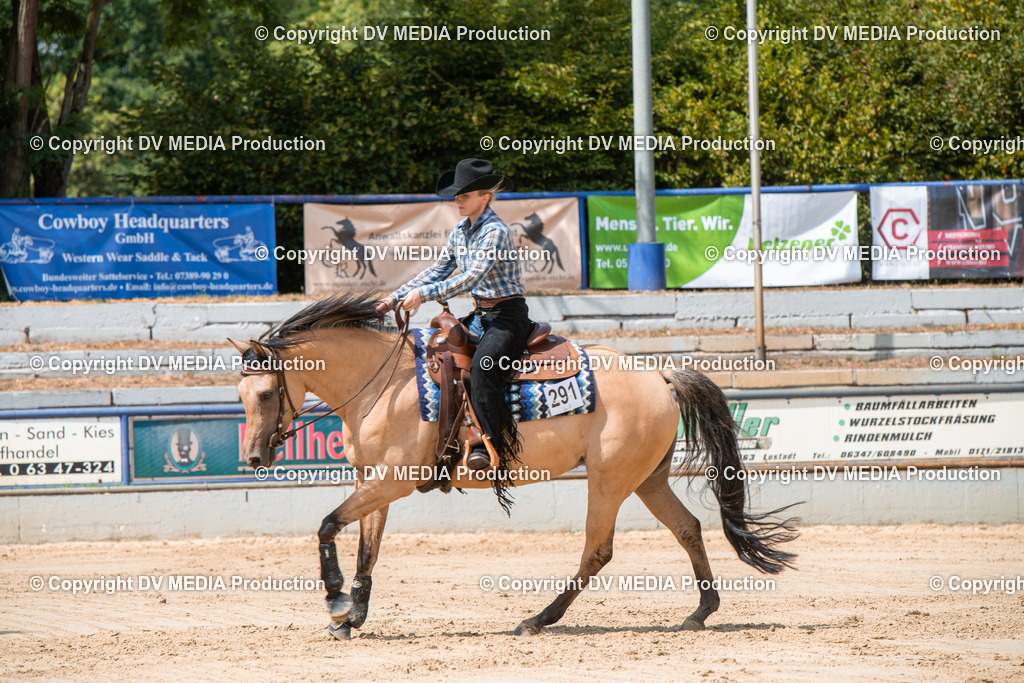 ZS3_9603 | dv-media-shop - Realisiert mit Pictrs.com