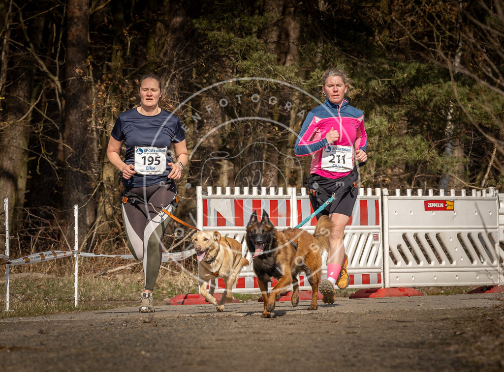 DV3A5766 | Hundefotografie, Tierfotograf, Pfotenfotografie, Fotoshooting Hund, Hunde Portrait, Hundesport, Hundeportraits, Heideshooting, Hunde, Sportfotograf, Hundefotograf, Turnierhundsport, THS,  - Realisiert mit Pictrs.com