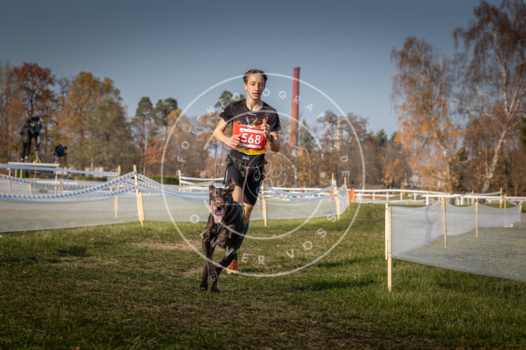 CaniXpix_0L8A9458 | Hundefotografie, Tierfotograf, Pfotenfotografie, Fotoshooting Hund, Hunde Portrait, Hundesport, Hundeportraits, Heideshooting, Hunde, Sportfotograf, Hundefotograf, Turnierhundsport, THS,  - Realisiert mit Pictrs.com