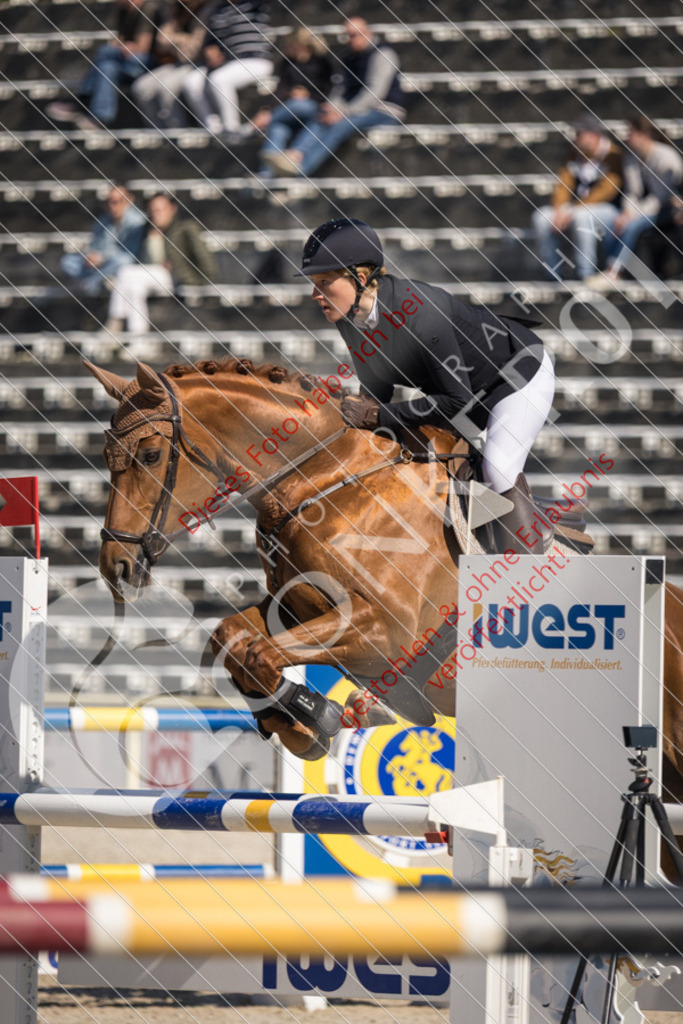 IMG_3800 | Sport-, Event- und Tierfotos in Profiqualität. Einfach auswählen, bestellen und herunterladen. Dein Moment – perfekt festgehalten.