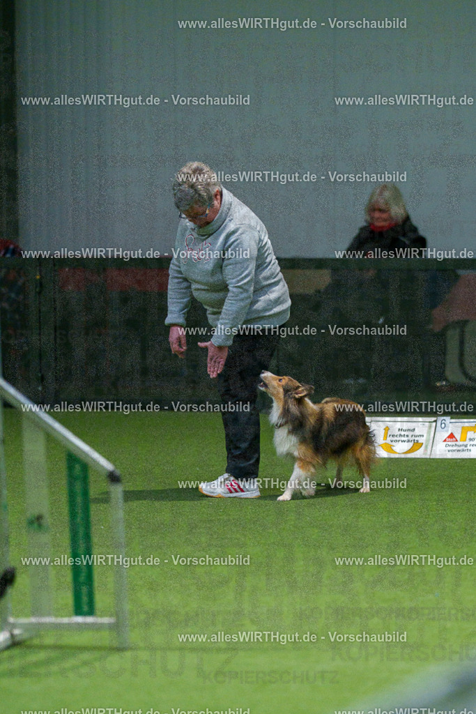 7R504837 | Professionelle Tierfotografie in Mönchengladbach von Daniel Wirth (allesWIRTHgut). Liebevolle & natürliche Bilder von Hunden & Katzen für unvergessliche Erinnerungen.