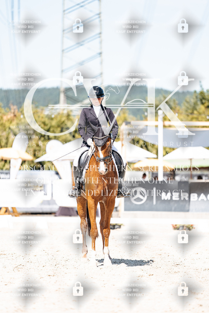CK900463 | Turnierfotografie Pferdefotografie Trier Rheinland-Pfalz Pferdesport Reitsport Tierfotografie Sportfotografie Pferdevideo Pferdevideografie Equestrianvideography equestrianphotography  - Realisiert mit Pictrs.com