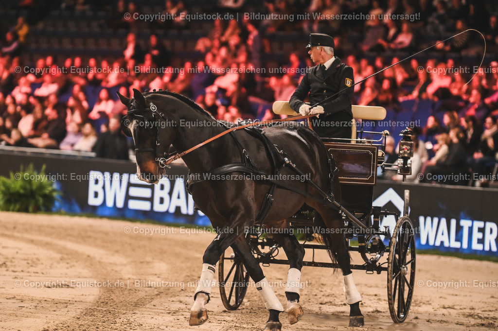20241113_Showabend_TOMsPiC_0227 | Foto: Thomas Hartig