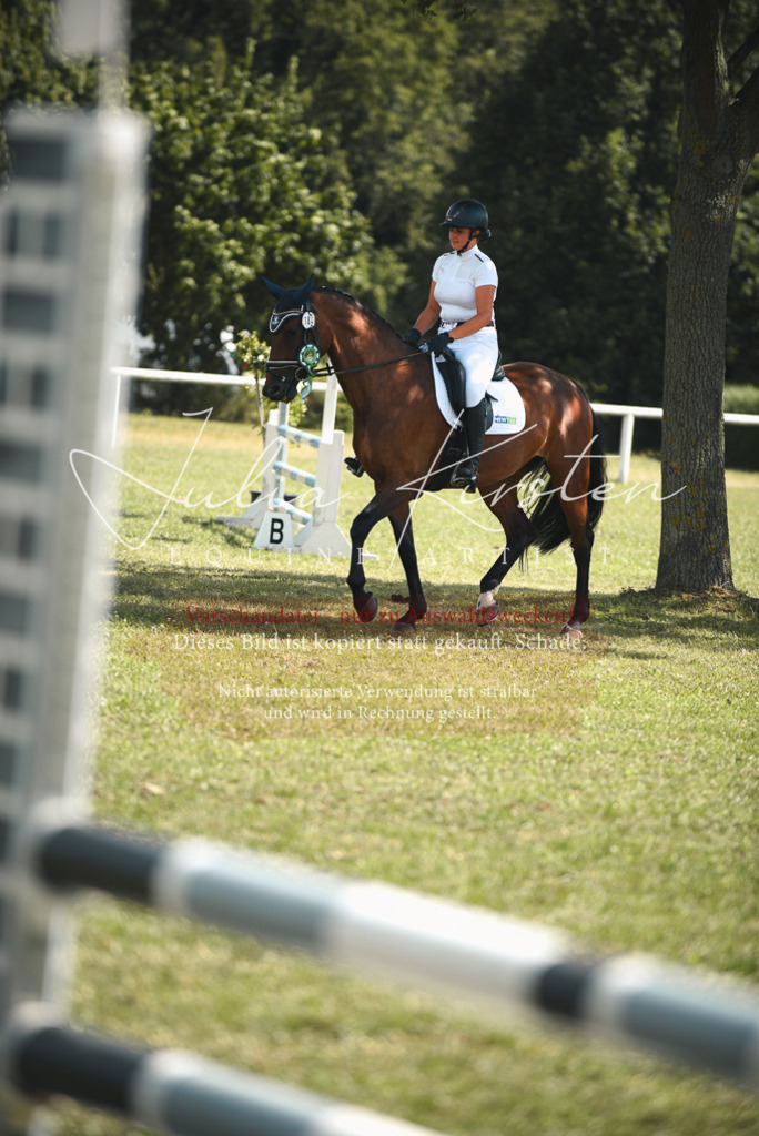 DSC_6859 | Pferde- und Turnierfotografie in Westsachsen. Pferdeportraits, Auftragszeichnungen und intuitive Kunst.