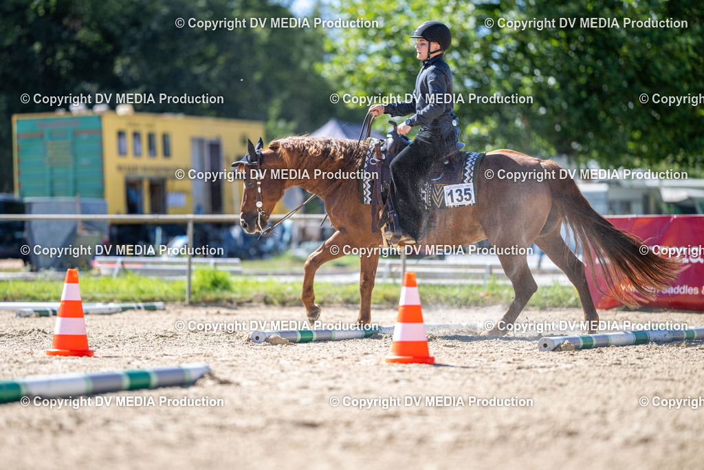 LM Heiligenwald Tag 1-520 | dv-media-shop - Realisiert mit Pictrs.com