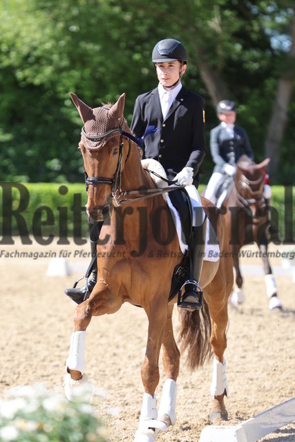 Böblingen_2025_Prfg.Nr.08_Dressurprüfung_Kl.M_Nürnberger Burgpokal_Siegerehrung_Prfg.Nr.08__ (40) | Alle Fotos der Reiterjournal Fotografin Doris Matthaes im Reiterjournal Online-Fotoshop. - Realisiert mit Pictrs.com